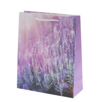 Пакет подарочный L (бумага 210г/м2, блок микс 12шт), L30 W12 H41,5 см, 4в.