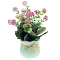 Цветочная композиция "Клевер", L15 W14 H25 см