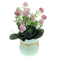 Цветочная композиция "Клевер", L15 W14 H25 см