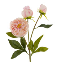 Цветок искусственный "Пион", L17 W9 H63 см