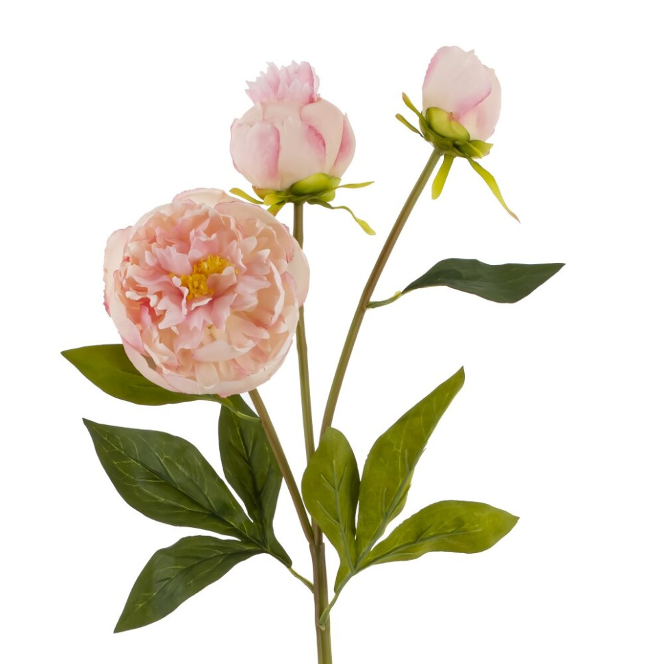 Цветок искусственный "Пион", L17 W9 H63 см
