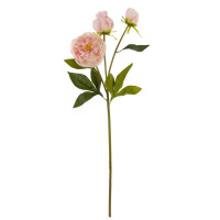 Цветок искусственный "Пион", L17 W9 H63 см