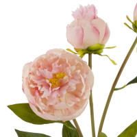 Цветок искусственный "Пион", L17 W9 H63 см