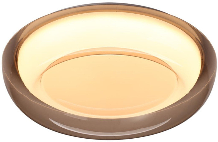 Настенно-потолочный светильник Portman 7777/DLN Sonex