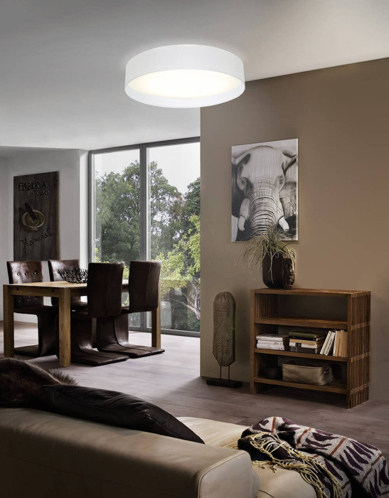 Настенно-потолочный светильник Pasteri 31588 Eglo