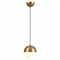 Подвесной светильник Odeon Light Pendant Pinga 4960/1