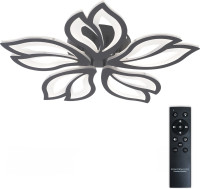 Потолочная люстра Fortuna LED LAMPS 81107/5C Natali Kovaltseva