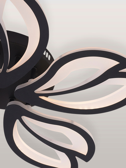 Потолочная люстра Fortuna LED LAMPS 81107/5C Natali Kovaltseva