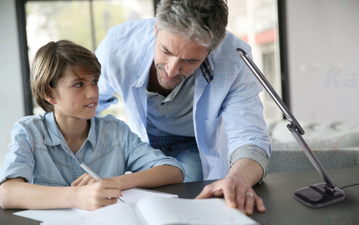 Офисная настольная лампа EMIRES 33225 Kanlux