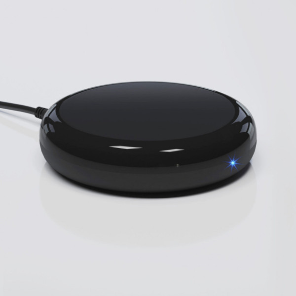 Пульт ДУ RC004 Elektrostandard