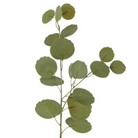 Ветка искусственная "Эвкалипт" (Real Touch), L19 W7 H56,5 см