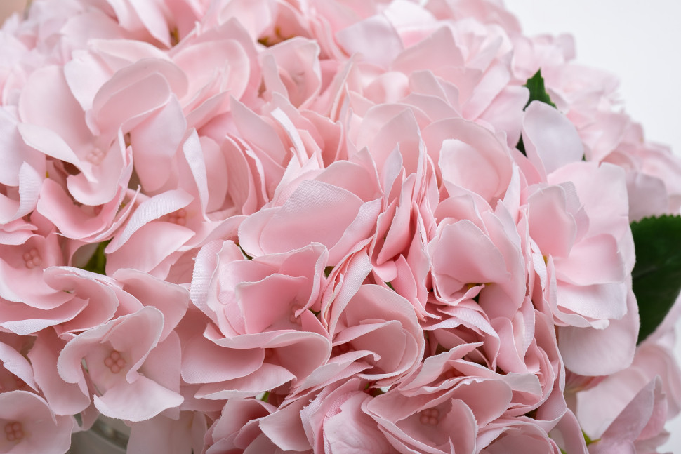 Диффузор ароматический Hydrangea&Rosebud Pink