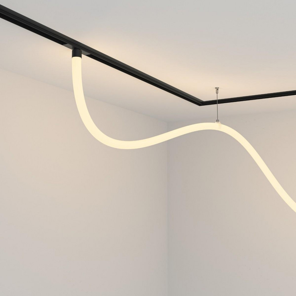 Трековый светодиодный светильник Maytoni Technical Tau TR101-2-50W3K-B