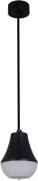 Подвесной светильник 16007-0.9-001IL E27 BK Reluce Подвесной светильник 16007-0.9-001IL E27 BK Reluce
