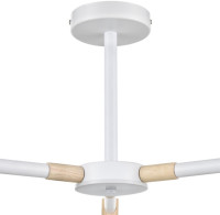 Потолочная люстра Rosalina 8097/3C Lumion Потолочная люстра Rosalina 8097/3C Lumion