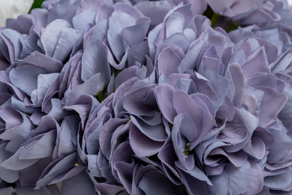 Диффузор ароматический Hydrangea&Rosebud Blue