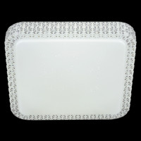 Потолочный светильник  07197-9.2-48WM Reluce