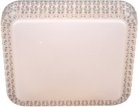 Потолочный светильник  07197-9.2-48WM Reluce