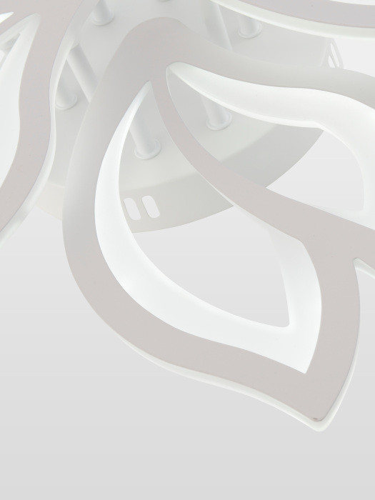 Потолочная люстра Fortuna LED LAMPS 81107/6C Natali Kovaltseva