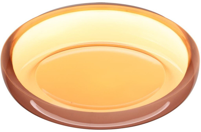 Настенно-потолочный светильник Portman 7778/ELN Sonex