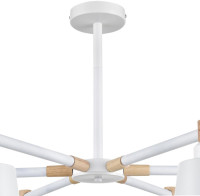 Потолочная люстра Rosalina 8097/6C Lumion Потолочная люстра Rosalina 8097/6C Lumion