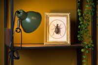 Настольная лампа Lucide Moys 45987/01/33 Настольная лампа Lucide Moys 45987/01/33