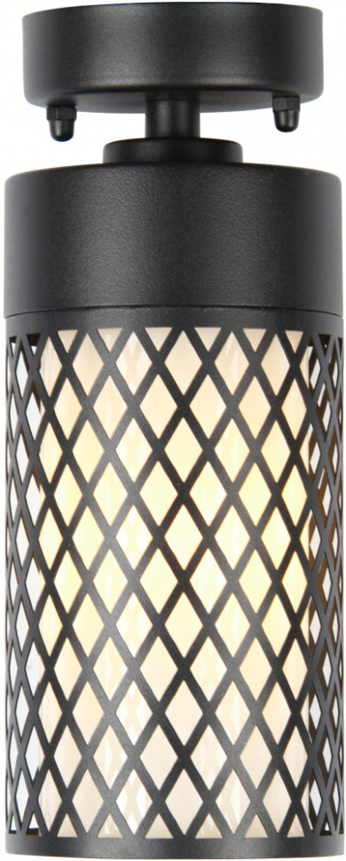 Потолочный светильник уличный Barrel 3019-1P Favourite