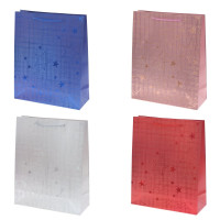 Пакет подарочный M (бумага 210г/м2, блок микс 12шт), L26 W10 H32 см, 4в.