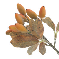 Ветка искусственная "Барбарис", L12 W12 H22 см