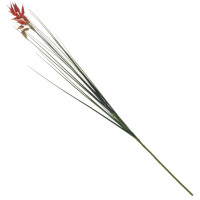 Цветок искусственный, L10 W7 H95 см, 2в.