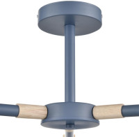 Потолочная люстра Rosalina 8098/3C Lumion Потолочная люстра Rosalina 8098/3C Lumion