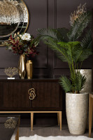 Магнолия белая