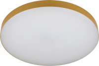 Потолочный светильник  Relict 48 Pult SPB-6-60-RC MG ЭРА