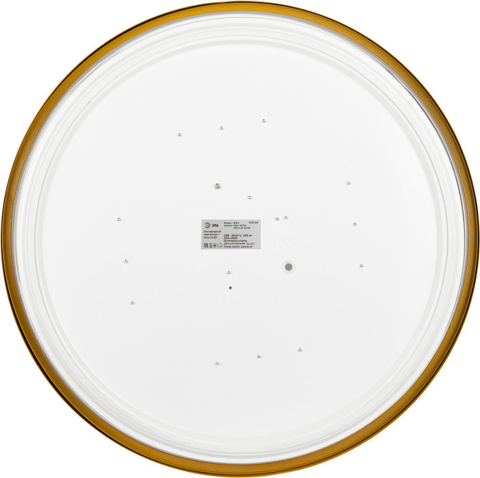 Потолочный светильник  Relict 48 Pult SPB-6-60-RC MG ЭРА