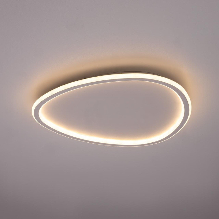 Потолочный светильник Тrio CL215B250E Citilux