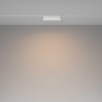 Трековый светодиодный светильник Maytoni Technical Basis Rot TR036-2-12W4K-W