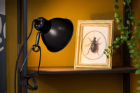 Настольная лампа Lucide Moys 45987/01/30 Настольная лампа Lucide Moys 45987/01/30