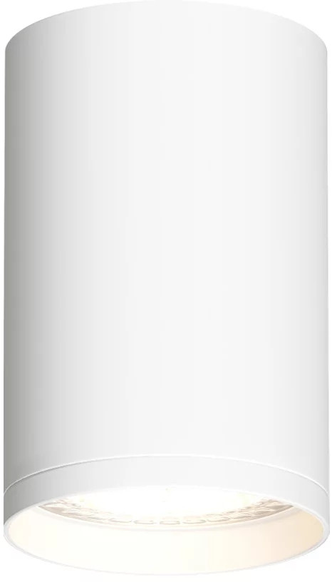 Точечный светильник TUBE DK2050-WH Denkirs