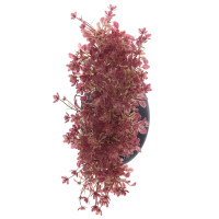 Дерево искусственное "Бонсай", L38 W19 H25 см