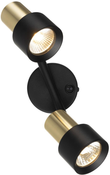 Спот Sat CL505621 Citilux