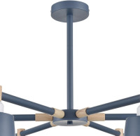 Потолочная люстра Rosalina 8098/6C Lumion Потолочная люстра Rosalina 8098/6C Lumion